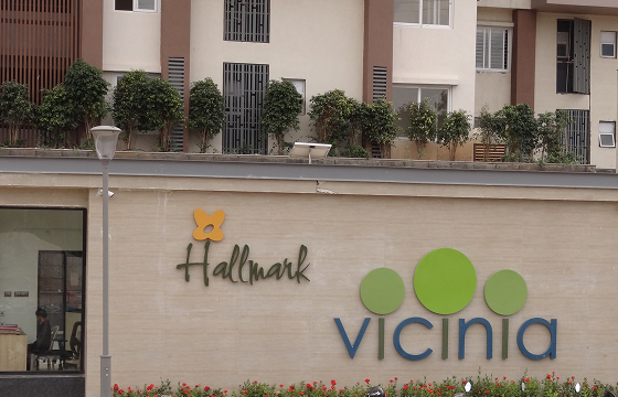 Hallmark Vicinia